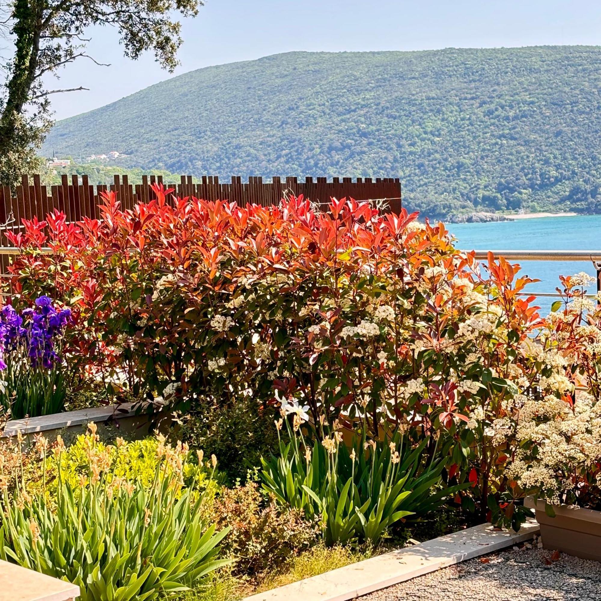 Continuum Apartman Ulcinj Kültér fotó